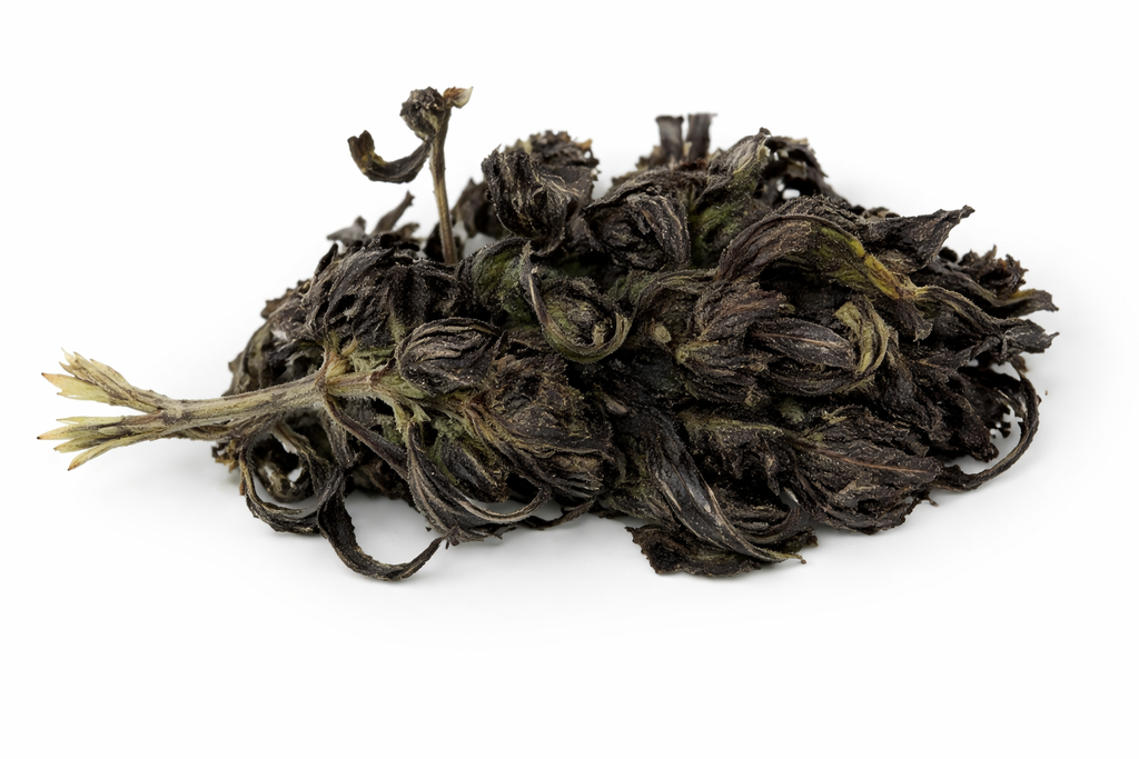 Western Blackberry CBD 9,21%